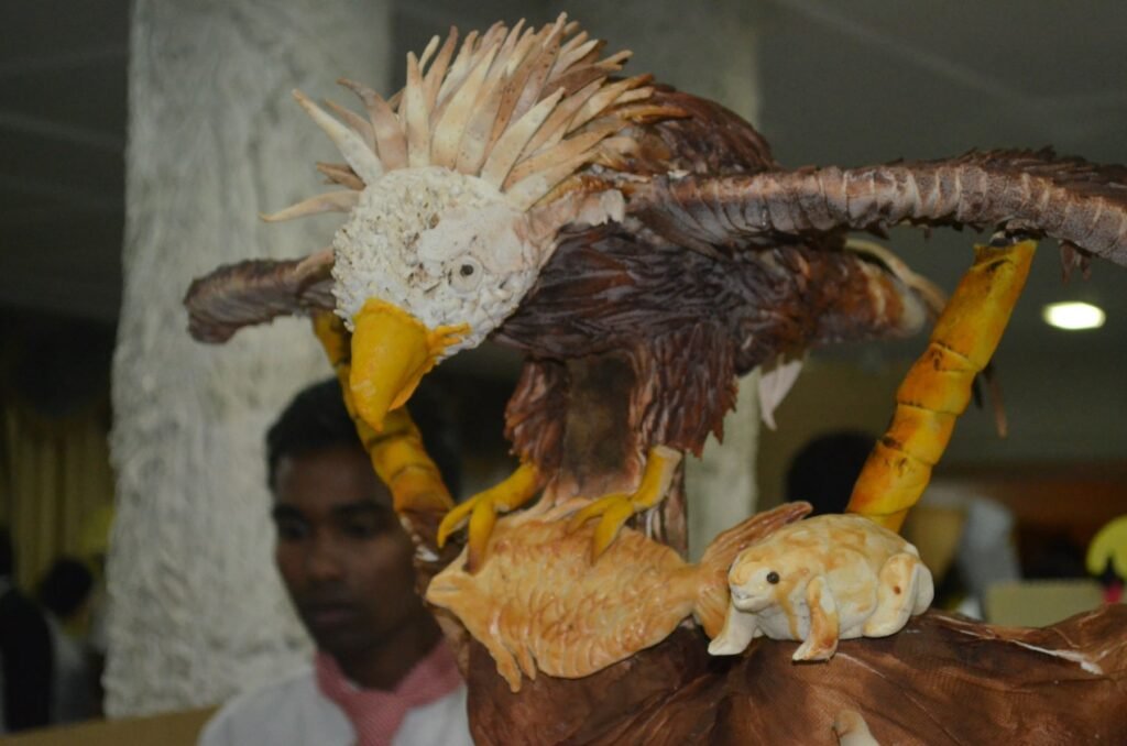 IIHMCA Photo Gallery