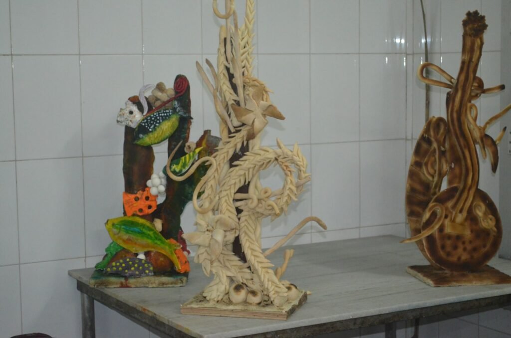 IIHMCA Photo Gallery